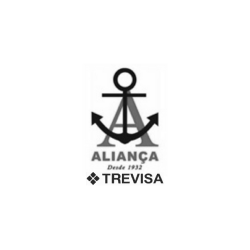 logo-navegacao-alianca-trevisa-investimentos